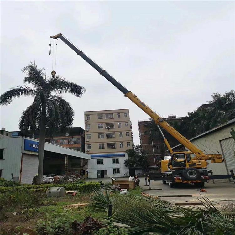 纳溪汽车吊出租多少钱？全面解析与市场行情